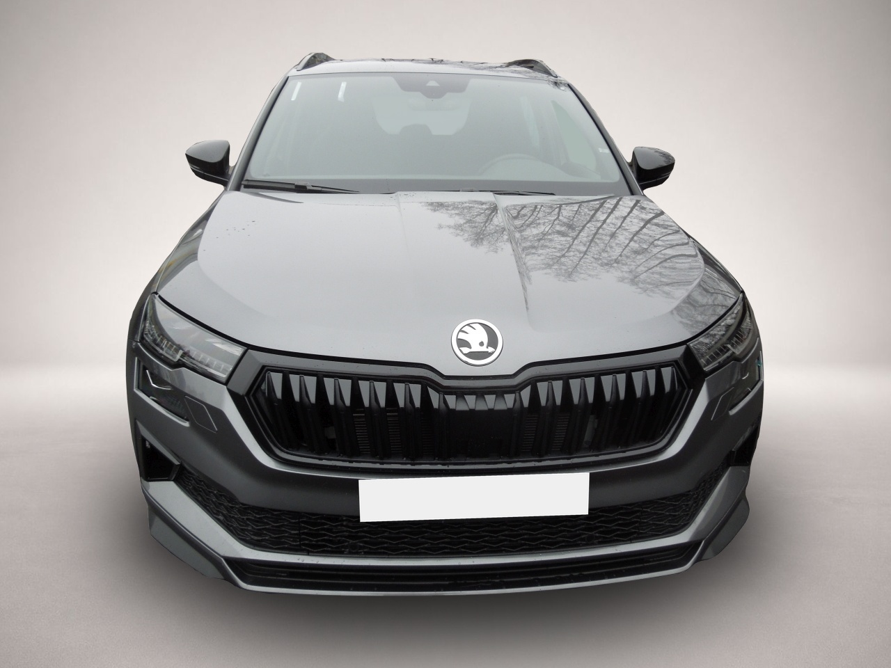 Skoda Karoq Karoq 2.0TSI DSG 4x4 Sportline/Matrix/AHK/Navi/K - Thumbnail 2