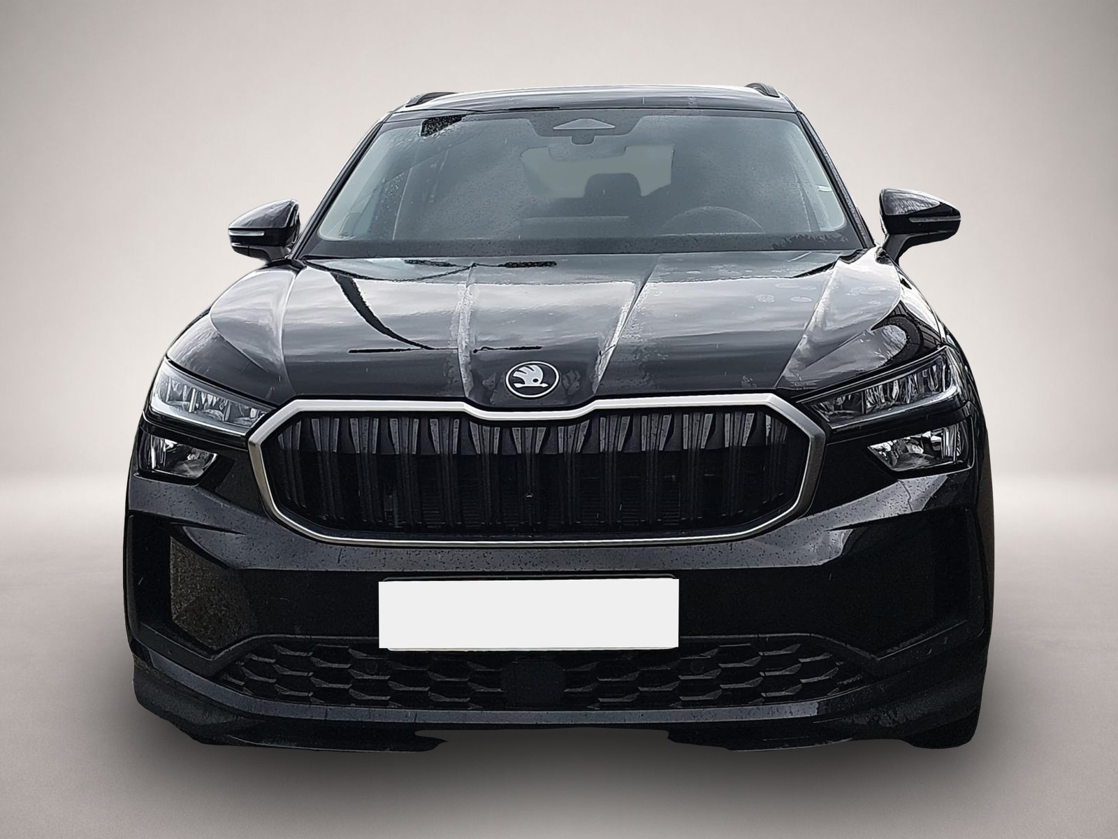 Skoda Kodiaq Kodiaq 1.5 TSI DSG Selection 7Si ACC Navi Memory - Thumbnail 2