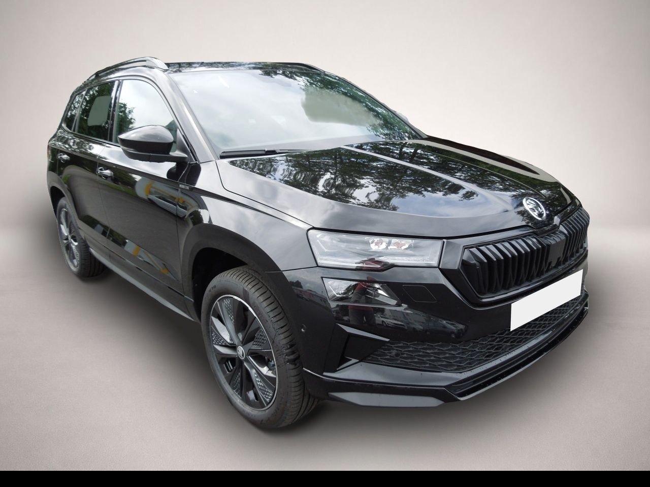 Skoda Karoq Karoq 2.0TSI DSG 4x4 Sportline/Matrix/AHK/Navi/K - Bild 1
