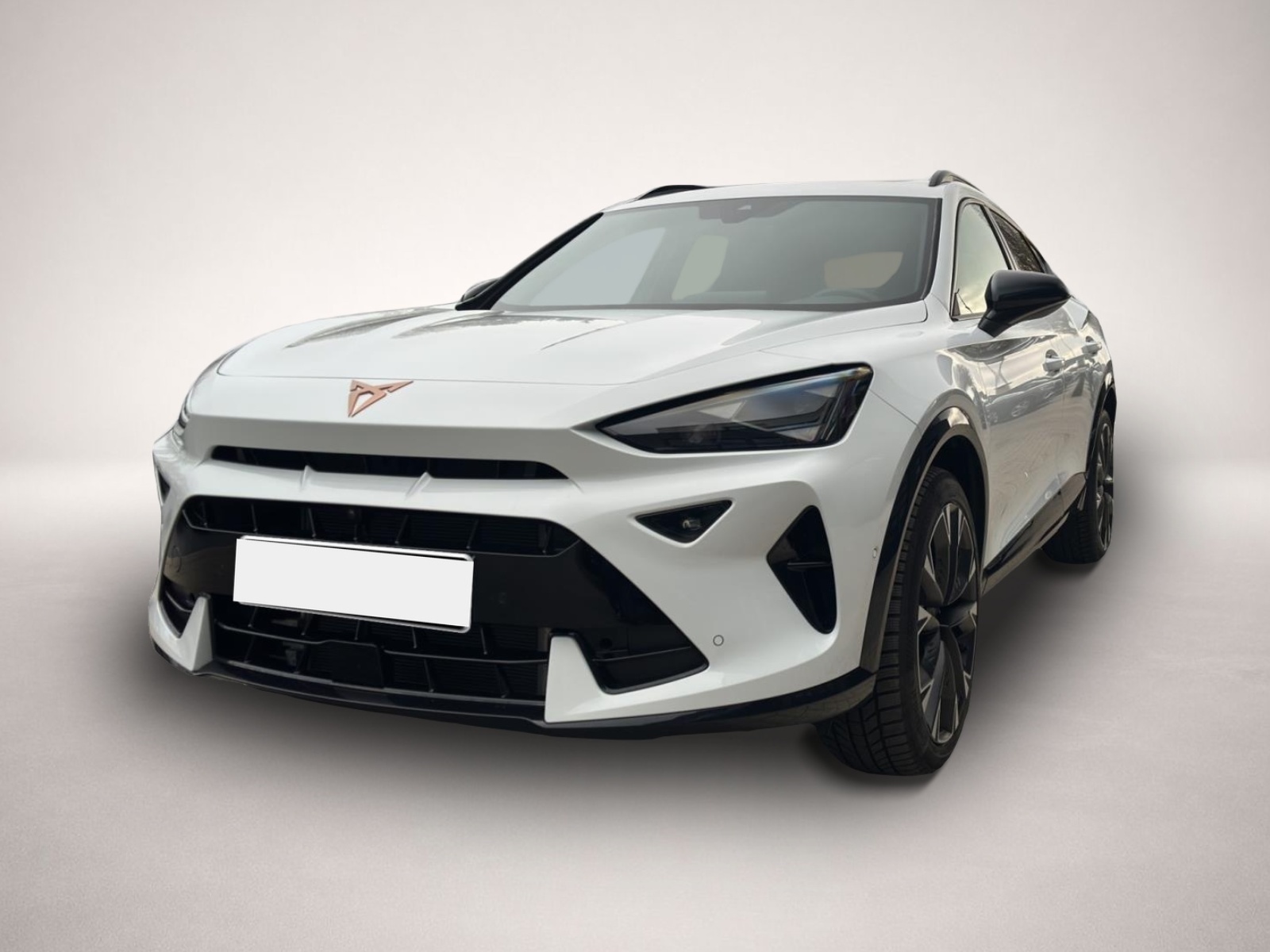 Cupra Formentor Formentor 2.0 TSI DSG AB369EUR VZ AHK PANO MATRI - Bild 1