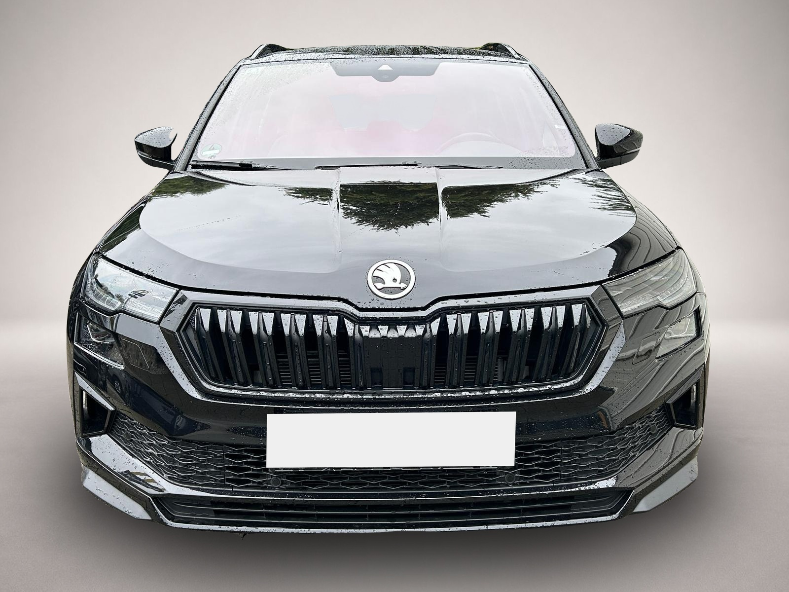 Skoda Karoq Karoq 2.0TSI DSG Sportline 4x4 Leder*Navi*SHZ*St - Thumbnail 2