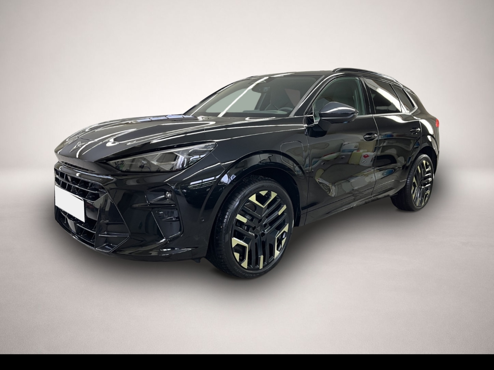 Cupra Terramar Terramar 1.5 e-HYBRID VZ Tribe Edition AHK MATRI - Bild 1