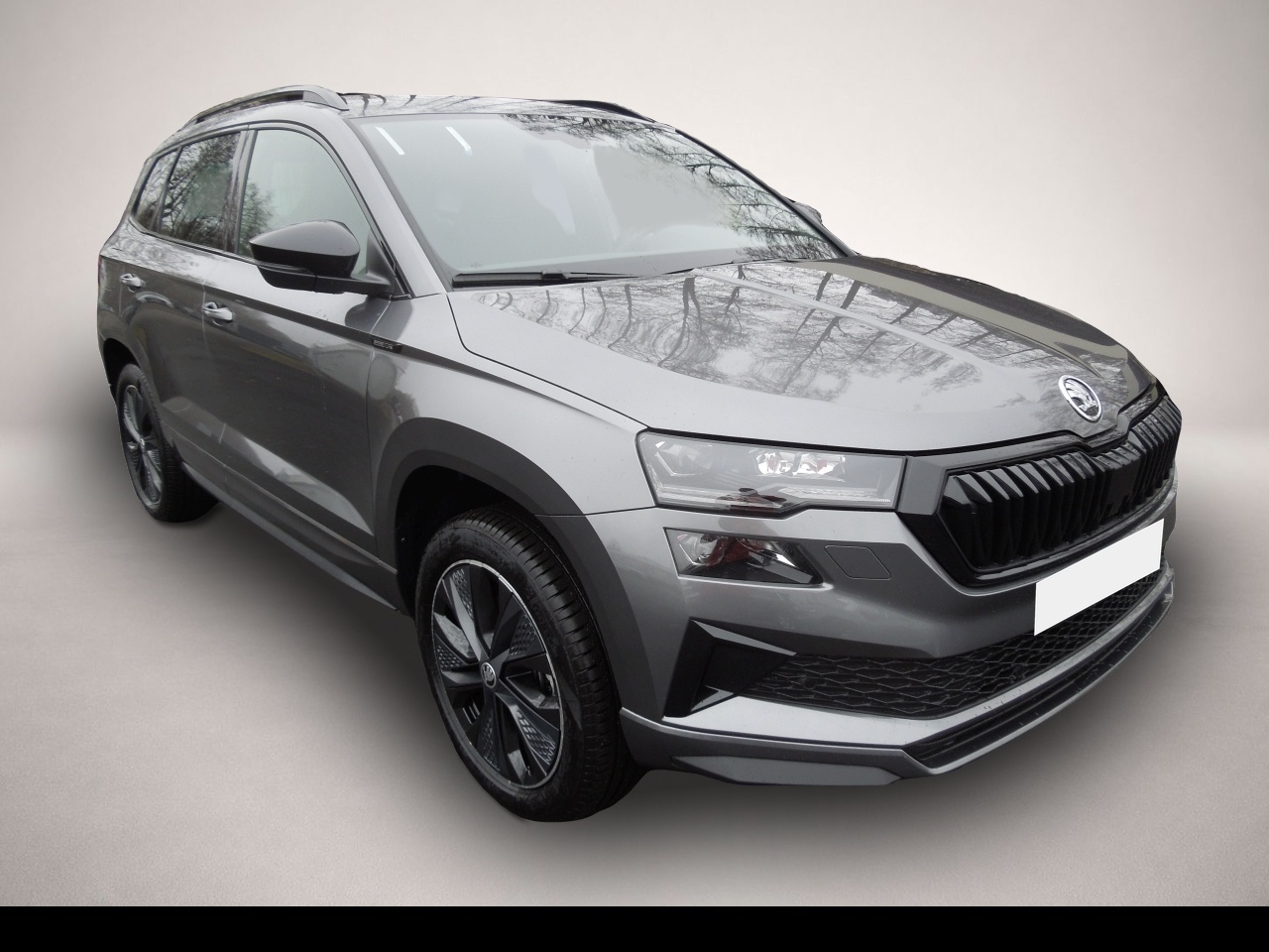 Skoda Karoq Karoq 2.0TSI DSG 4x4 Sportline/Matrix/AHK/Navi/K - Bild 1